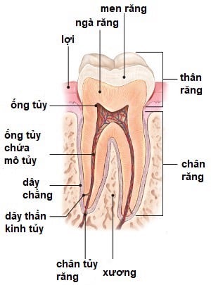 Chua Tuy Rang